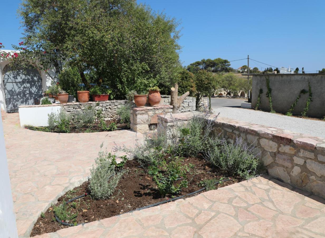 Serendipity Living Katsounion