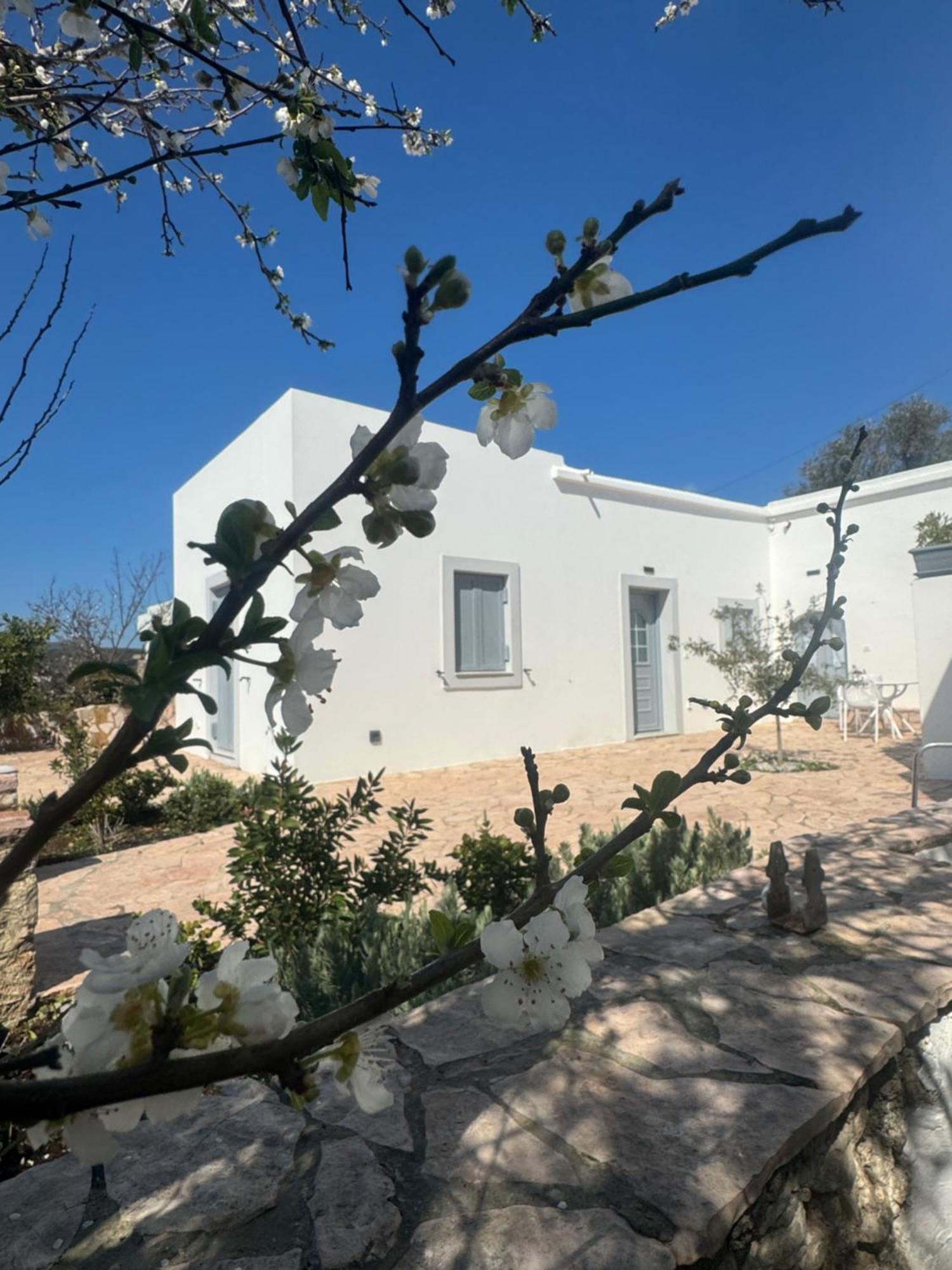 Serendipity Living Apartment Katsounion